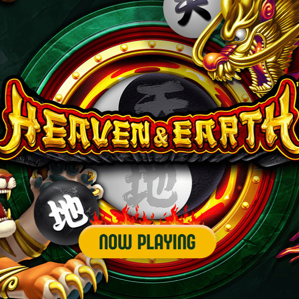 Heaven & Earth gaming machine