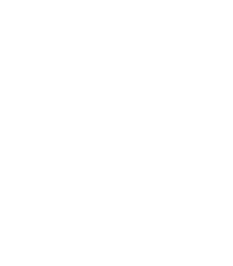 Wok O'Clock Cairns logo