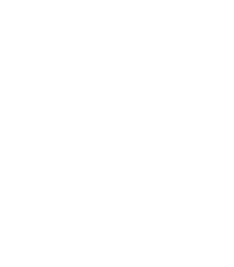 Wok O'Clock Cairns logo
